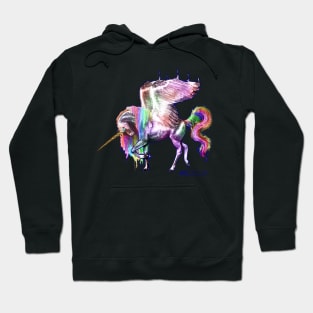 horse pony equine pegacorn pegasus Hoodie